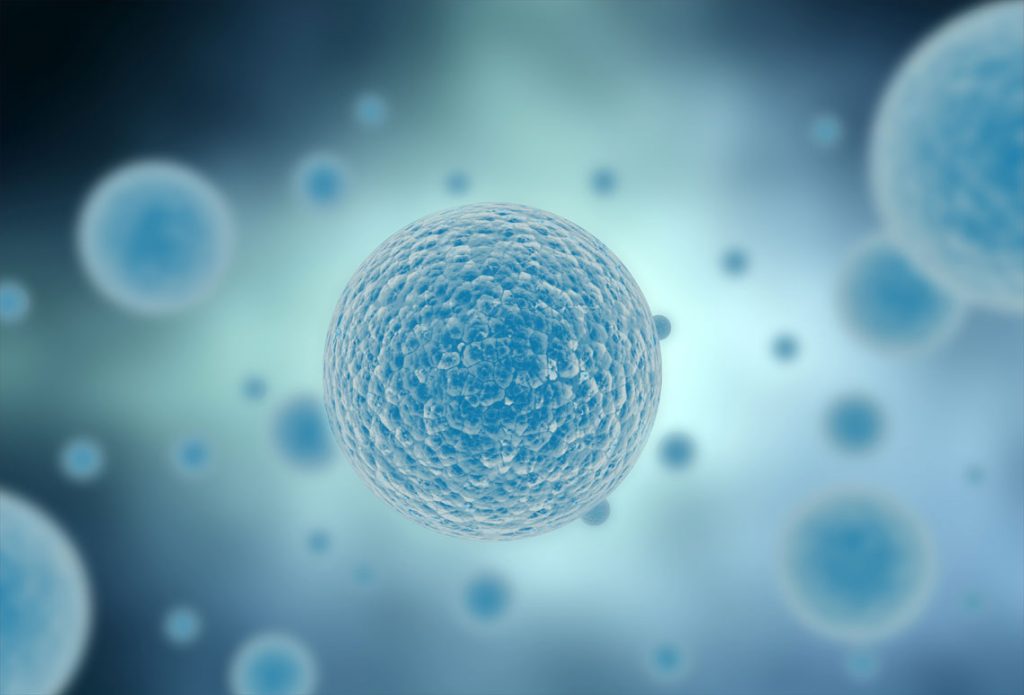 Laboruntersuchungen bei der Urologie Schafaie